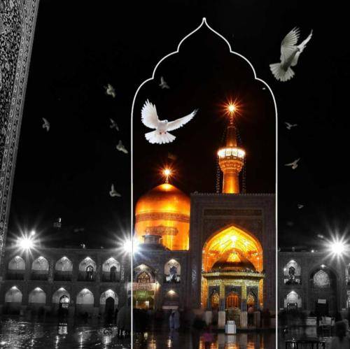 جواد مقدم دعا کنی تا زنده‌ای بشه قسمتت حرم