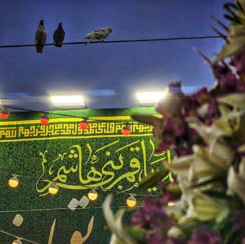 میثم مطیعی خون خواهان حاج قاسم بسم الله