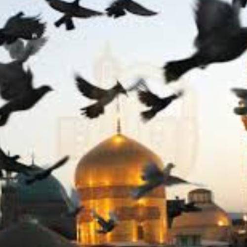 حسین سیب سرخی به هوای حسین به کربلای حسین