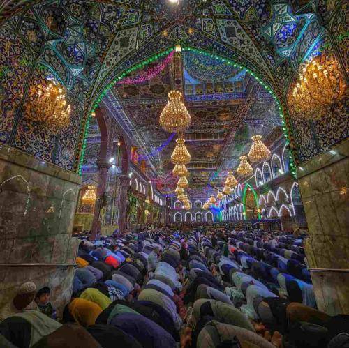 جواد  مقدم از هر کی دیدید بپرسید کجا آقام خونه داره