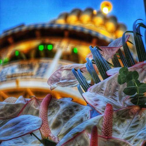 محمود کریمی برای دلگرمی رقیه برادرم آمدند