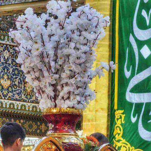 حنیف طاهری رو دل میدون ای قامتت قربون خون دل مو