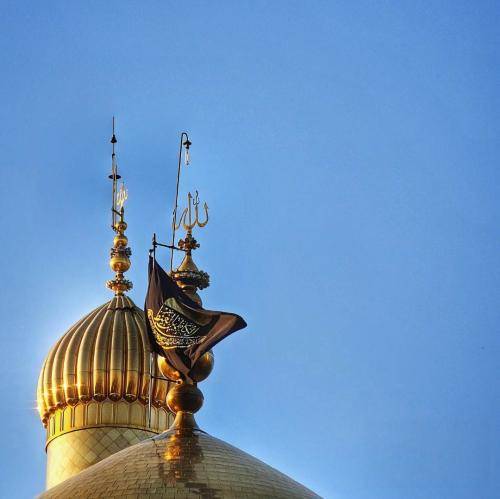 سجاد محمدی شمر اگه بره سنان نمیگذره تو قتلگاه تو زمان نمیگذره