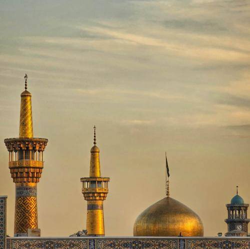 علی ملائکه گرچه امروز نشد بوسه به دستش بزنی