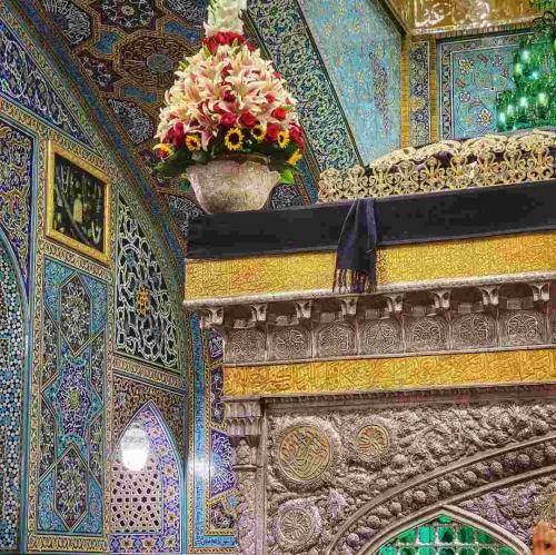 امیر طلاجوران جای شکرش باقیه با اینکه از غمت میسوزم زیر سایتم چقدر خوبه