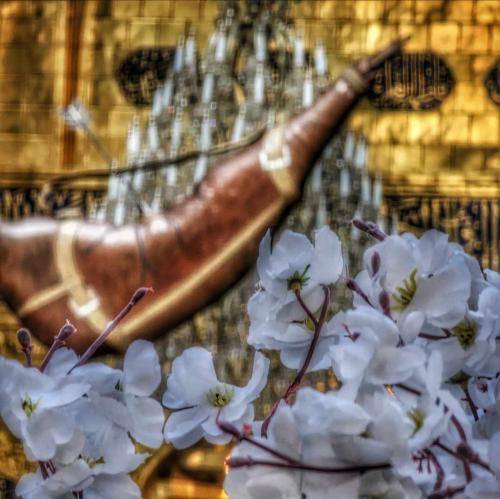 نریمان پناهی عمه نگاه کن جنجاله گودال رفته عمو جون لب تشنه از حال
