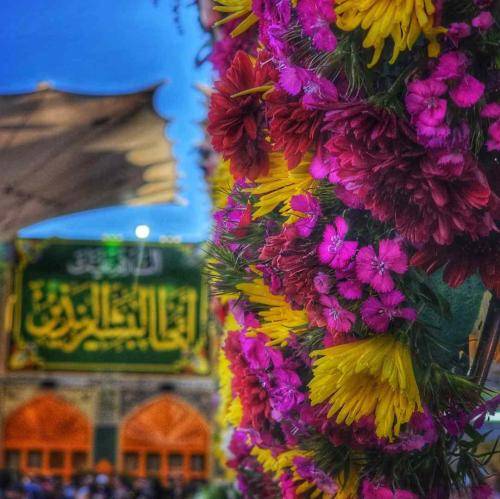 حجت بحرالعلومی تنها نزارید غریب کربلا رو ای سینه زنان غریب مدینه