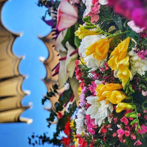 امیر کرمانشاهی منم فدایی حضرت ابی عبدالله