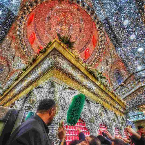 مجید بنی فاطمه دارن میان دونه‌دونه عاشقا دارن میان همه پابرهنه‌ها