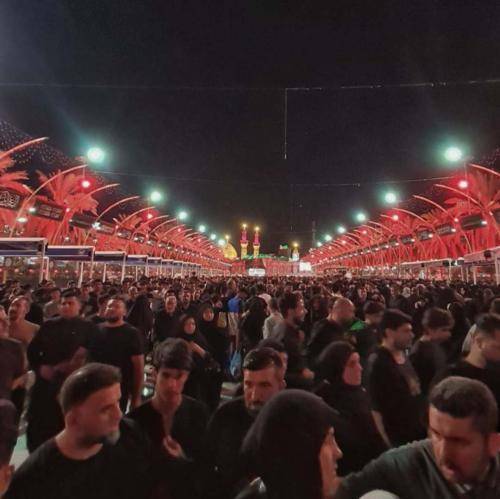 امین قدیم بیچاره‌ام کرده کربلا مرحم درده کربلا