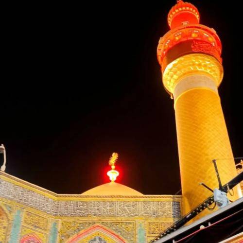 محمدرضا نوشه ور دل آشوب دریارو نفهمید من حال خیلی‌هارو خوب کردم
