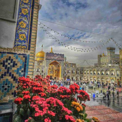 مجید بنی فاطمه روسیاهم اگه اومدی هیچکس اینجا جواب نمیشه