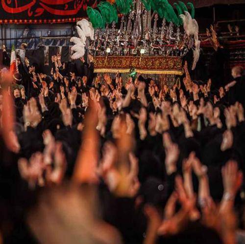 مجید بنی فاطمه امشب شهادت نامه عشاق