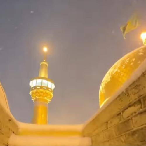 علیرضا خشنودی آقا برم گردون من یه گوشه‌ی حرم می‌شینم