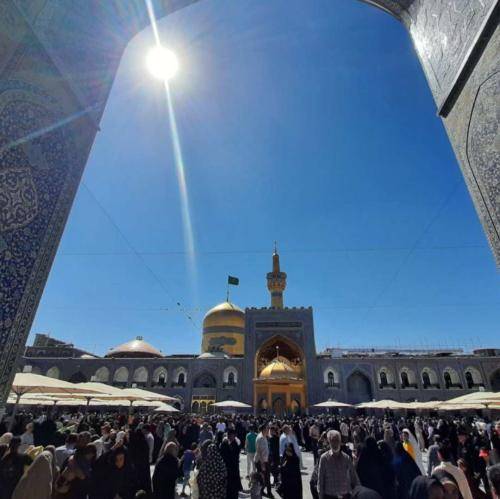 مهدی میرداماد به بهار گفتم ثمرت مبارک به بهشت گفتم شجرت مبارک