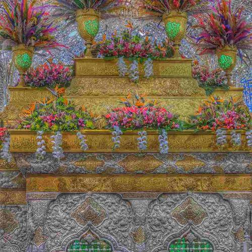 کاظم اکبری آب می‌ریخت رو سرم تو حرم الهی که از در خونت جایی نرم