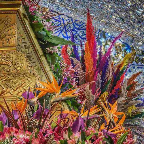 محمدرضا بذری تنها تو غربتم غصه شد قسمتم راحتم کن خدا خیلی نارحتم