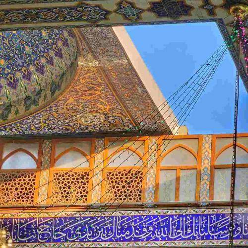 محمدرضا بذری آنقدر آمدند و گرفتارتان شدند خاک درت شدند و هوادار تو شدند