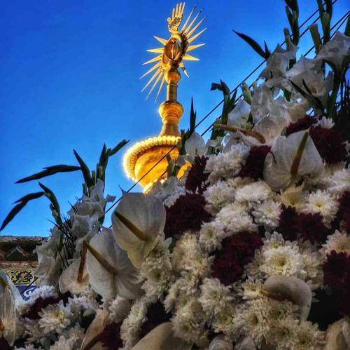 علی فانی غفلت از یار گرفتار شدن هم دارد از شما دور شدن زار شدن هم دارد