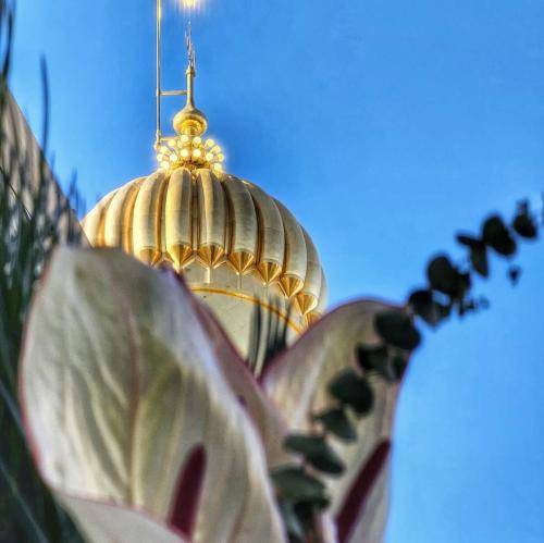 محمد ابراهیمی اصل دریاب این گدارو تو که می‌بینی مارو بزار صداتو بشنوم فقط همین یه‌بارو