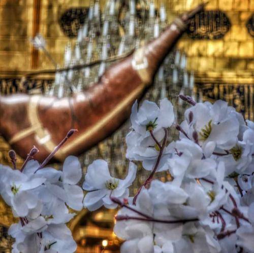 محمدرضا نوشه ور حسی تو دنیا مثل احساس مادر و فرزندی نیست