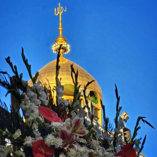 حسن خلج امشب به شباب رهبر آمد میلاد علی اکبر آمد