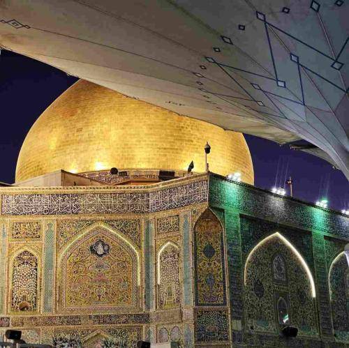 منصور ارضی از این خاکدان پر زدن لازم است به پرواز دور از چمن لازم است خلاصه فراق وطن لازم است