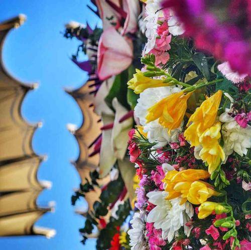مجید بنی فاطمه تربت همون کیمیاست بخدا به دردا دواست بخدا نمازم با تربت تو حسابش جداست بخدا