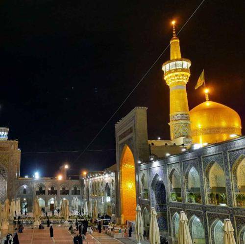 محمدرضا طاهری حرف از دل و دلدار شده ای دل بیمار شده یوسف زهرا رسیده که گرمی بازار شده
