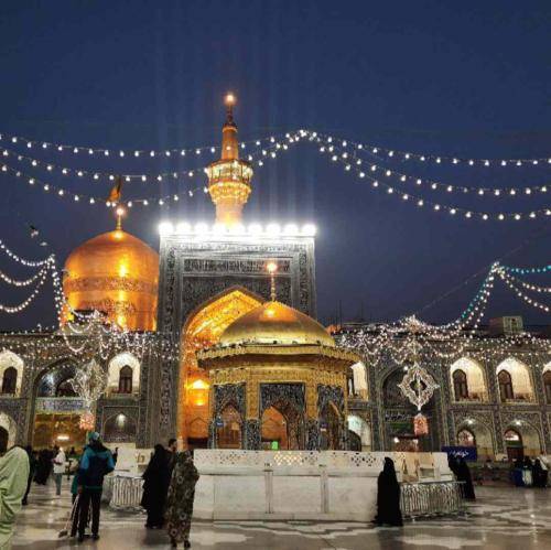 امیر طلاجوران من دور همه خط کشیدم دورم زدند آقا بریدم ای از همه بامعرفت‌تر