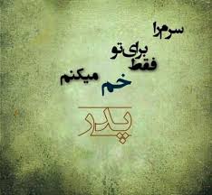 محسن چاووشی قراضه چین