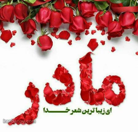 رضا شیرازی مادر