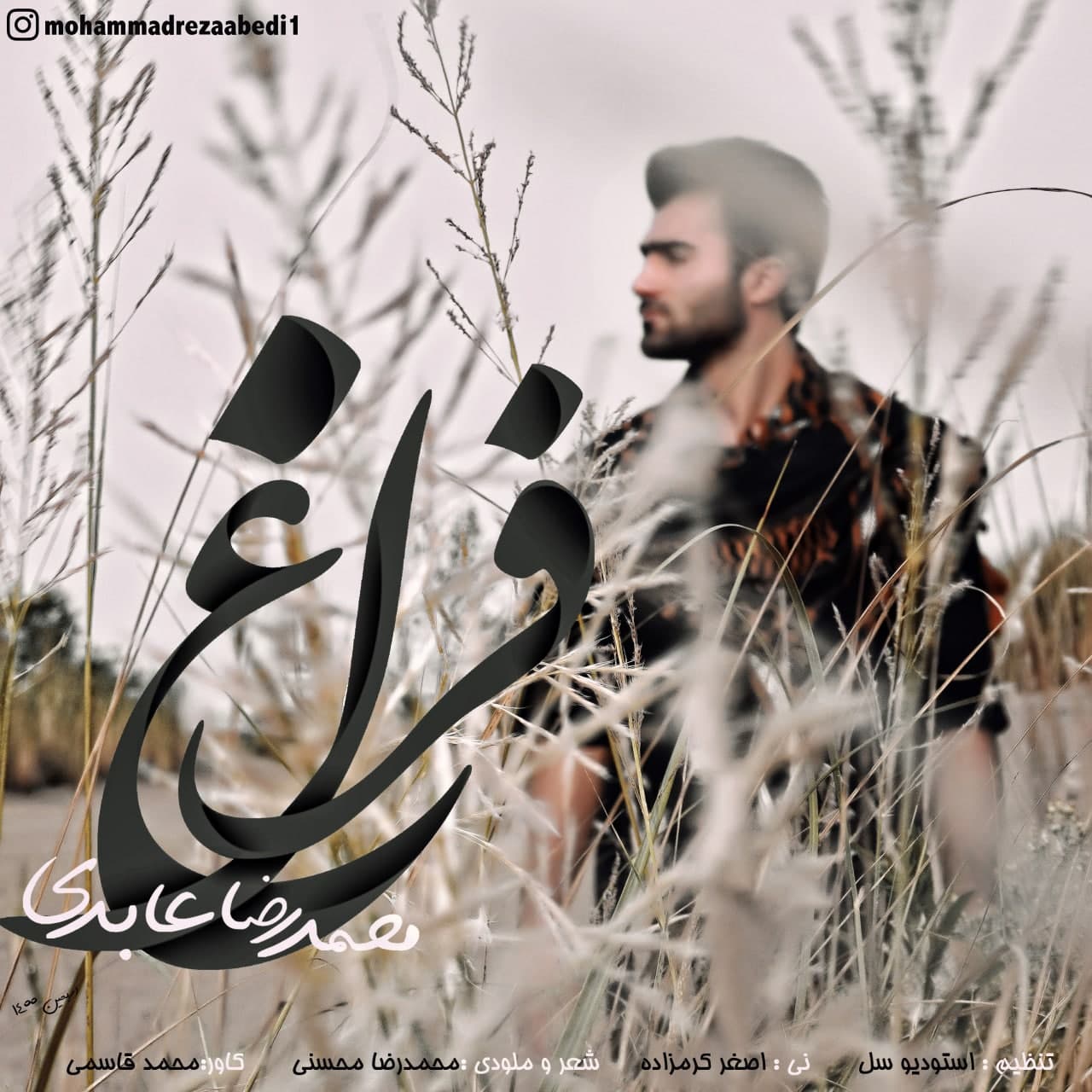  										محمدرضا عابدی	  											  فراغ
