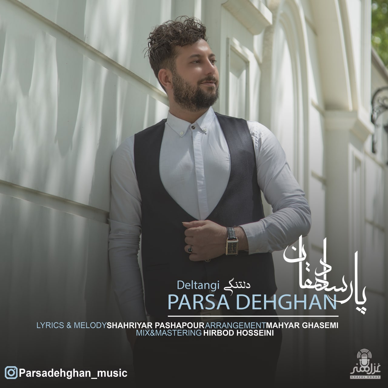 پارسا دهقان دلتنگی