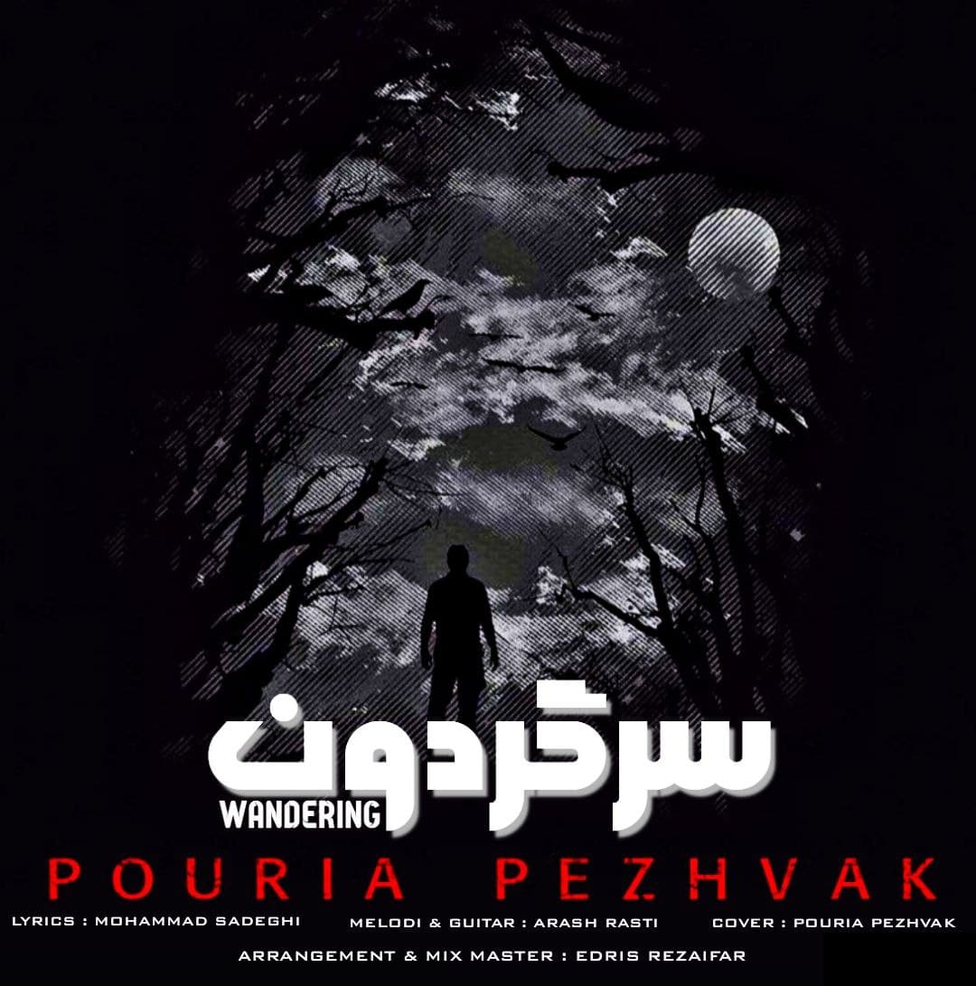  										پوریا پژواک	  											  سرگردون