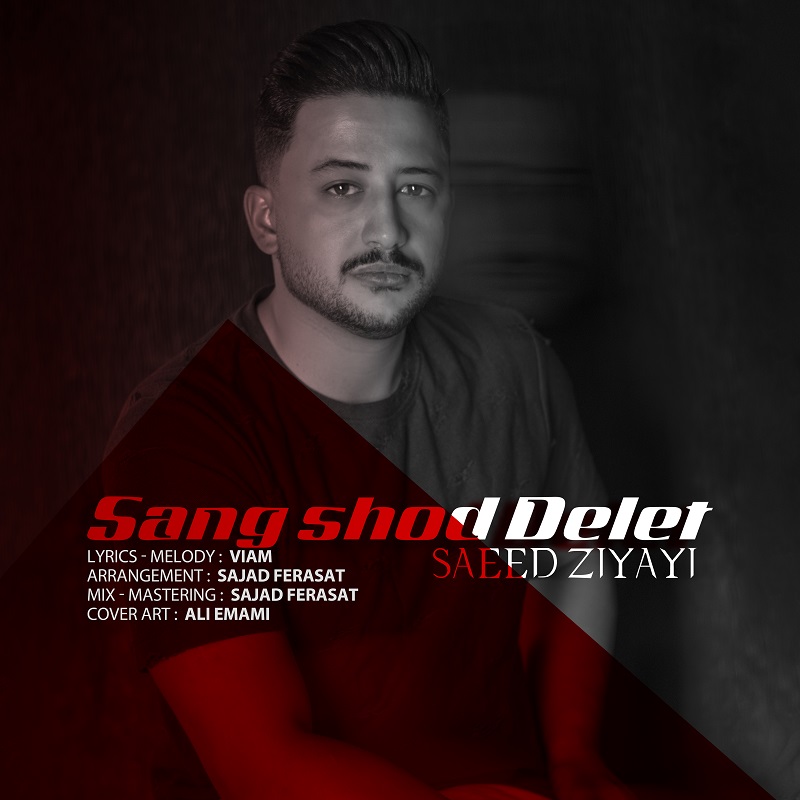  										سعید ضیایی	  											  سنگ شده دلت