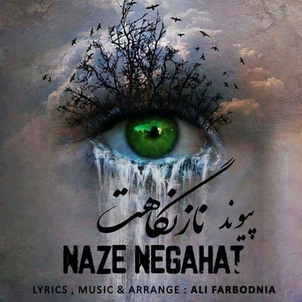 پیوند ناز نگاهت