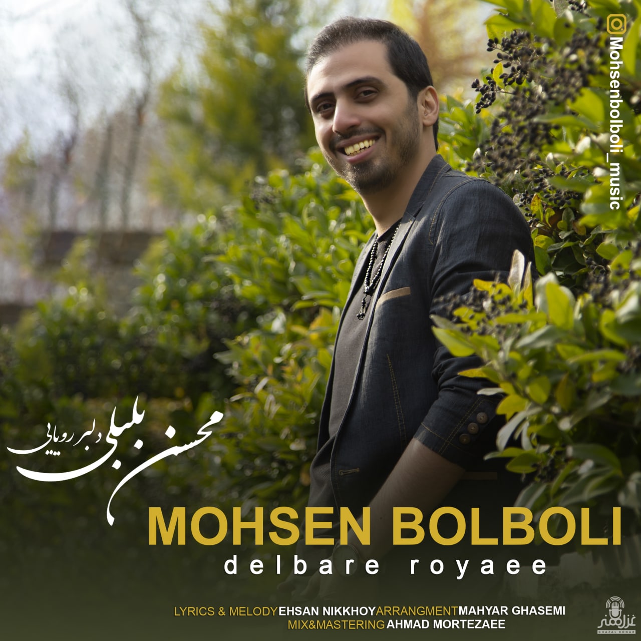 محسن بلبلی دلبر رویایی