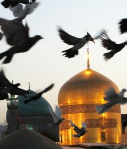 کد پیشواز های سید میلاد ذوالنوری