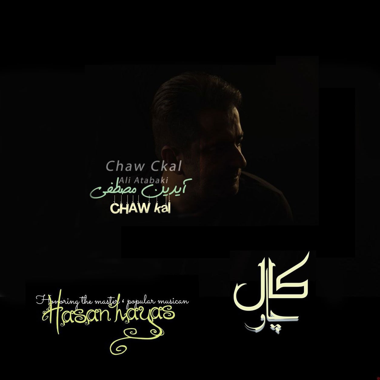 آیدین مصطفی چاو کال