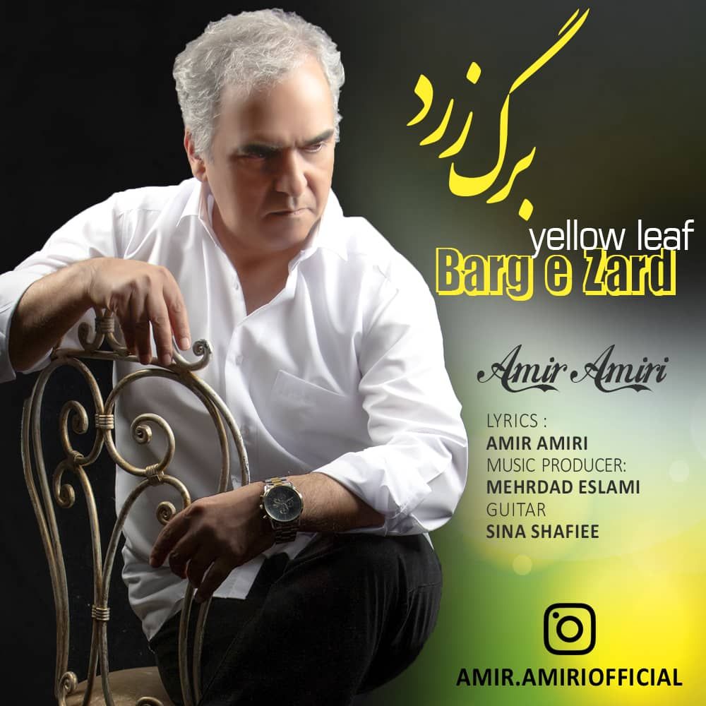 امیر امیری برگ زرد