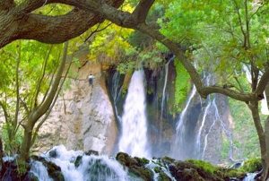کد پیشواز های محلی بختیاری 