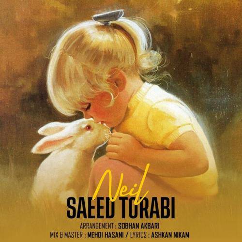 سعید ترابی نیل 