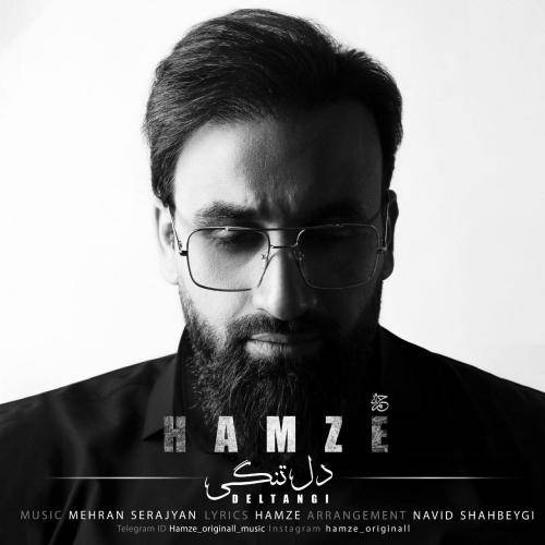 حمزه دلتنگی