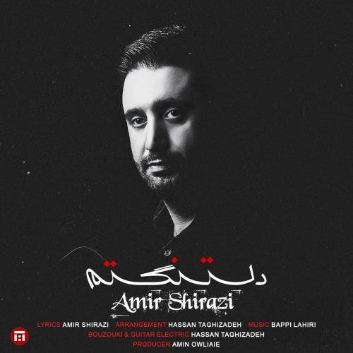 امیر شیرازی دلتنگتم