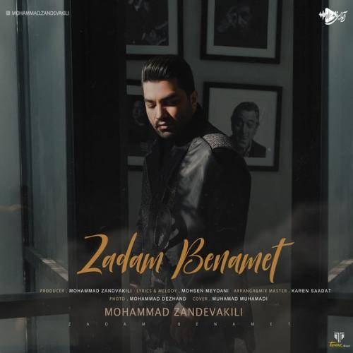 محمد زندوکیلی زدم به نامت