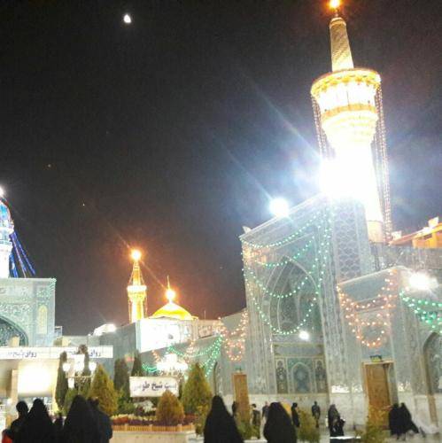 میثم مطیعی مادر