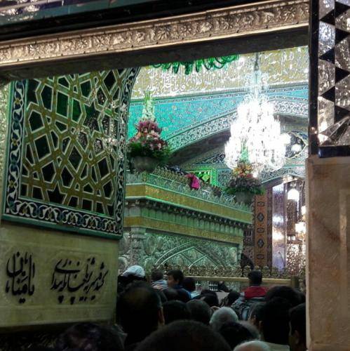 میثم مطیعی فخر ایران4