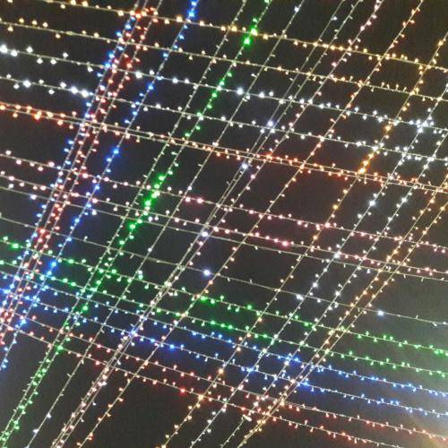 رضا نریمانی کربلا