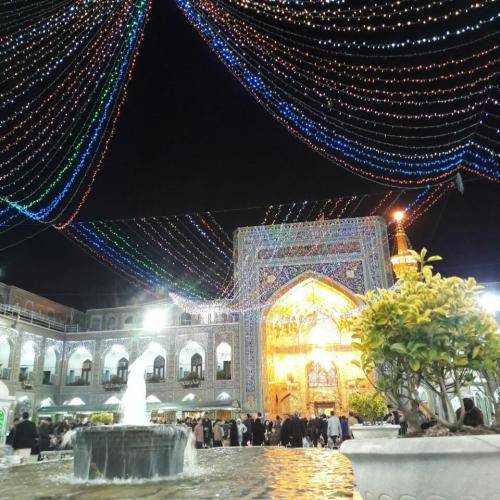 رضا نریمانی منو یکم ببین2